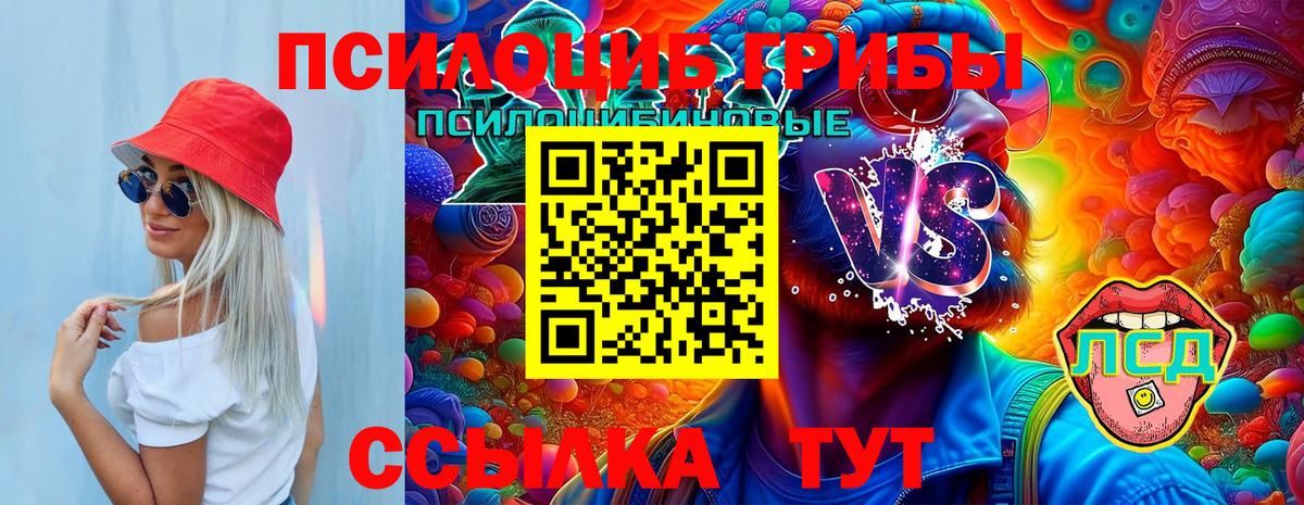 Качканар  Галлюциногенные грибы Magic Shrooms  Вход с VPN 